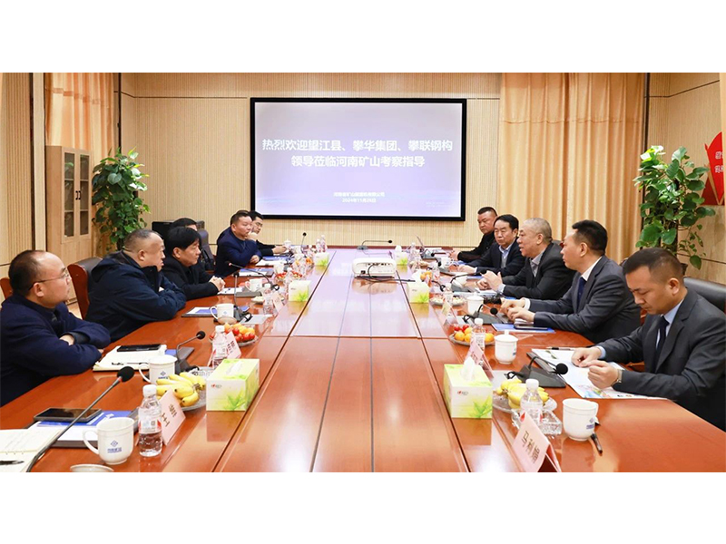 河南尊龙抖圈官网｜望江县、攀华集团辅导光临公司调查互换