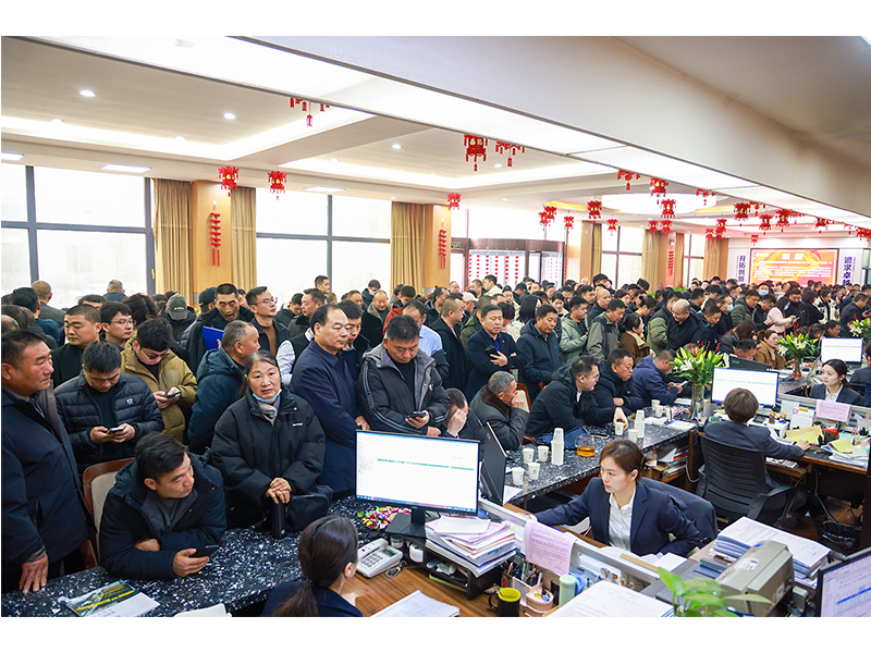 河南尊龙抖圈官网｜立春又逢“开门红”，，，，，，，，奋斗开启新征程